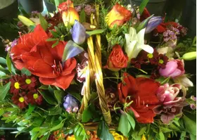 Rainbow colors flower arrangement in basket.Spring flavor !!!