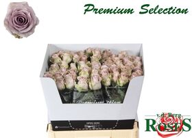 Roses "Safi"  Exclusive Purple Color. Wedding favourites. (11) stems bouquet with greens in vase.