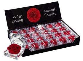 Αγίου Βαλεντίνου. Σετ 3 τεμάχια από βαλσαμωμλενα τριαντάφυλλα. (1) display box (1) plexi glass cube & (1) jewel case