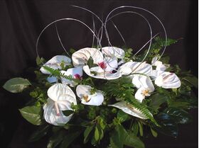 Basket with anthuriums