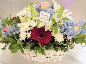 Basket with exclusive flowers.Spring freshness!!!