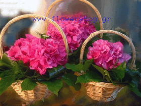 Σετ (3) καλαθιών με ορτανσίες ή άνθη εποχής