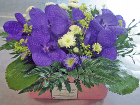 Arrangement with vanda orchids in "paper look" ceramic pot