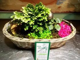 Φυτά σε καλαθάκι & Χριστουγεννιάτικη διακόσμηση