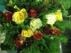 Ανθοπωλείο. (41) τριαντάφυλλα (40-50cm)  (διάφορα χρώματα)!!! Μπουκέτο.