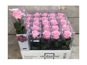 Rose Preserved   in "Decorative Bag ".