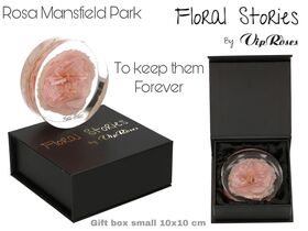 Vip Fossil Epoxy (1) Flower Rose Mansfield Park. Exclusive Gift Box. Εποξειδικό Απολίθωμα.