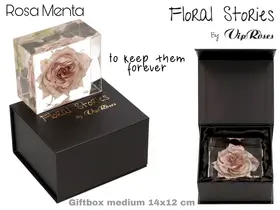 Vip Fossil Epoxy Menta. Exclusive Gift Box.