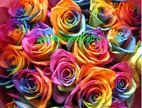 (21) "Rainbow"  roses bouquet. Super week offer!!!