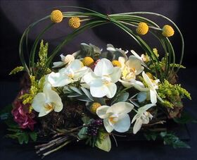 Glass tray with phalenopsis orchids