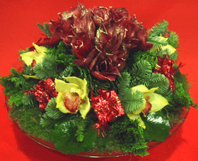 Christmas arrangement on tray with amaryllis !!!