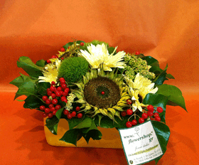 Flower arrangement in small ceramic "paper look" pot - orange colors