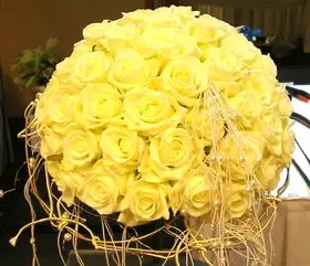 whiteroses.gif