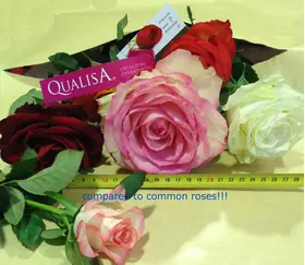 Big headed ecuadorian roses bouquet (11 stems) with greens !!!