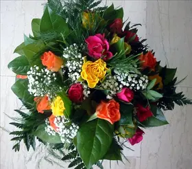 mixed colored roses
