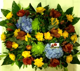 Exclusive Arrangement in basket. Spring + Nature !!!