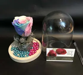 Rose Preserved "RAINBOW"  in "Glass Fanus" Diam 12 cm Height 14 cm .