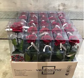 Rose Preserved   in "Decorative Bag ".