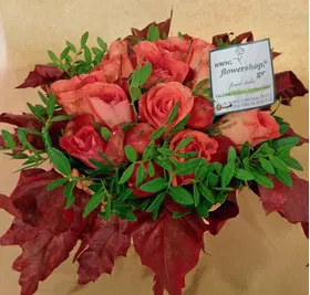 Autumn flowers