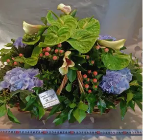 Exclusive Arrangement in basket