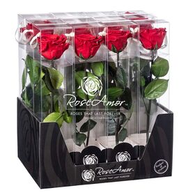 Αγίου Βαλεντίνου. Σετ 3 τεμάχια από βαλσαμωμλενα τριαντάφυλλα. (1) display box (1) plexi glass cube & (1) jewel case