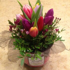 Tulips (10) stems in glass vase.