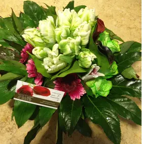 Tulips "Super Parrot" Frilled Edges + Season flowers