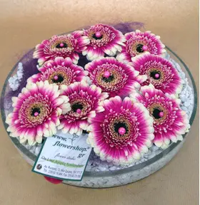 gerberas