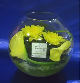 ball-callas.gif