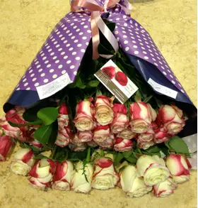 Roses  Classy Alison or Advance Sweetness.