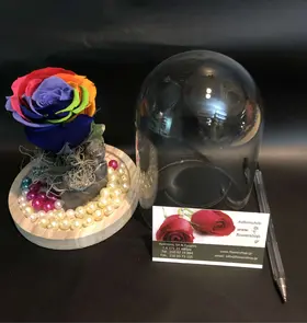 Rose Preserved "RAINBOW"  in "Glass Fanus" Diam 12 cm Height 14 cm .