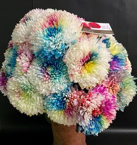 (10) Chrysanthemums Single Heads Exclusive "Anastasia" or "Antonov" Variety( gift wrapped) (rainbow colors).