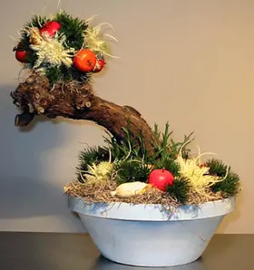 Bonsai style arrangement