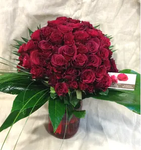 (101) Red Exclusive Dutch Roses 50 cm gift wrapped in vase special