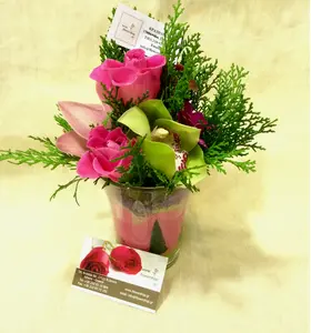 Season flowers - Random Varieties
