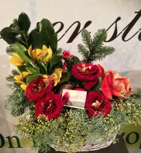 Διάφορα χριστουγεννιάτικα λουλούδια