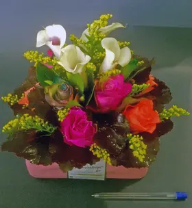 Roses "Rainbow"