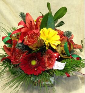 Christmas red flowers basket.