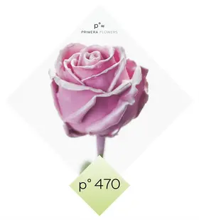 (10) Exclusive Waxed Roses  (random colors) in vase with colored water!!! NEW