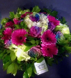 Roses "Rainbow"