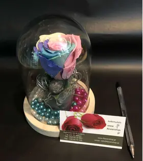 Rose Preserved "RAINBOW"  in "Glass Fanus" Diam 12 cm Height 14 cm .