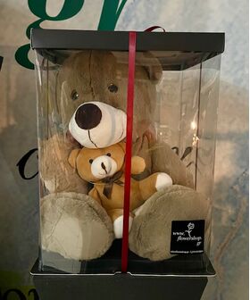 Teddy Bear 40cm. In "Decorative Dispaly Box" with Led Lights