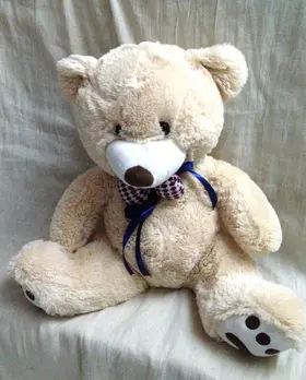 Teddy bear  60cm X-Large