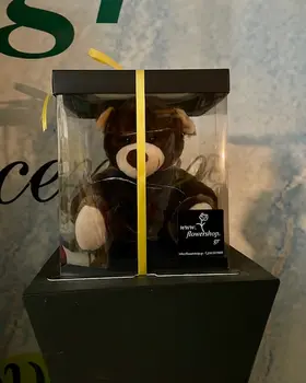 Teddy Bear 25cm. In "Decorative Dispaly Box" with Led Lights