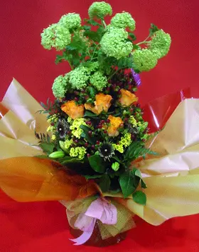 viburnum.gif