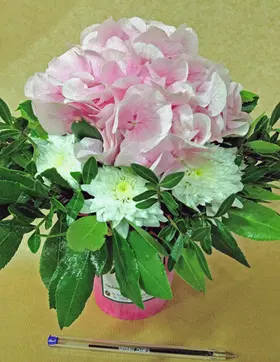 Hydrangea arrangement
