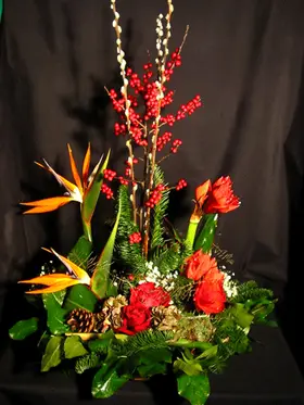 Christmas arrangement. Tropic flowers !!!