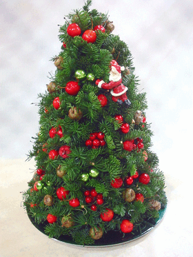 Χριστουγεννιάτικη σύνθεση - Χριστουγεννιάτικο δένδρο (φυσικό)
