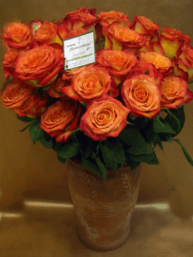 Ανθοδέσμη από (11) πορτοκαλί τριαντάφυλλα