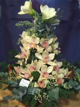 Christmas basket with cymbidium orchids and amaryllis